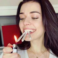 Koala Puffs (@koalapuffss) 's Twitter Profile