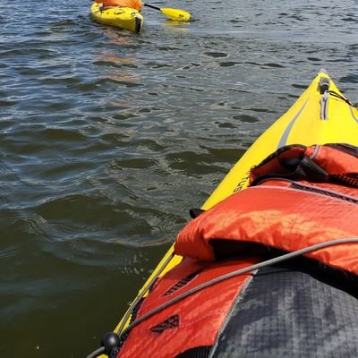 titaniumbuyer1's profile picture. Getting life done well.