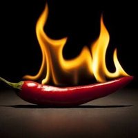 🌶️'s on 🔥 (@chillybing) 's Twitter Profile