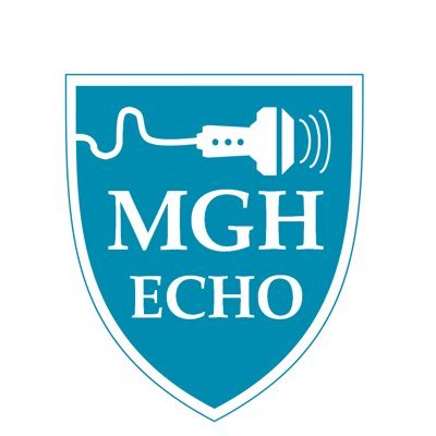 An account of the @mghhearthealth #Echocardiography Laboratory (editor @criticalecho; deidentified/already public echo images)