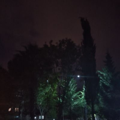 DenizDe67954389's profile picture. 