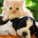 Deborah Dominguez - @DeboDominguez - Twitter