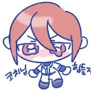 코치💭さんのプロフィール画像