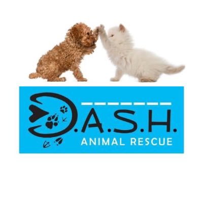 DASH Animal Rescue