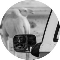 SA🩶 (@t_bnmv) Twitter profile photo