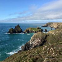 Lizard Landscapes (@viewsoflizard) 's Twitter Profile