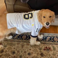 Bill Hynes (@billhynes40) 's Twitter Profile Photo Bill Hynes (@billhynes40) 's Twitter Profile Photo