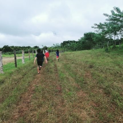 vanyjaramill's profile picture. 