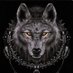 The Lone Wolf (@xanksx) Twitter profile photo The Lone Wolf (@xanksx) Twitter profile photo