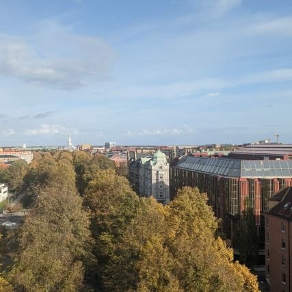 CarrieLea17's profile picture. 