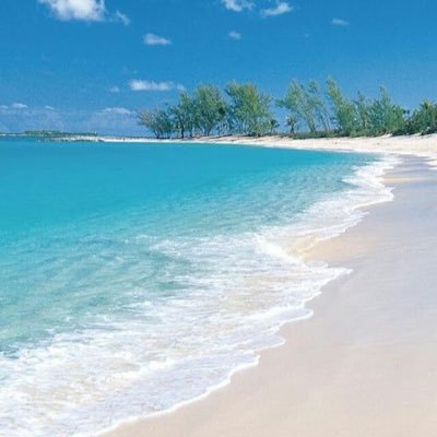 tx_mama8's profile picture. 