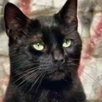 Juju_Geek (@krauser6812) 's Twitter Profile Photo