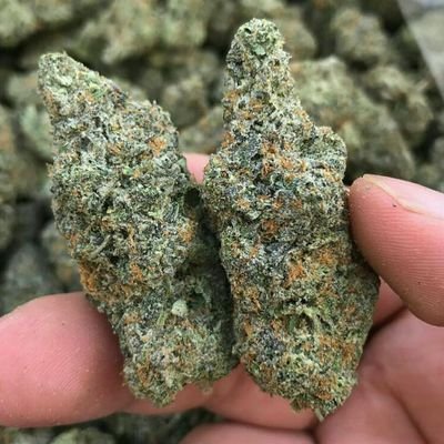 🇬🇧 Check page HMU for some asap straight up 💯 🇬🇧 ✌️
whatsap only  : +44 7501 300285
Wicker/nelsonweed1 
Snapchat// nelsonweed1
UK only d*e*l*i*v*e*r*y
#