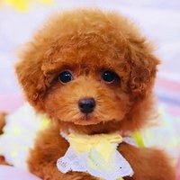 たけおふ. (@takeoff9999) 's Twitter Profile