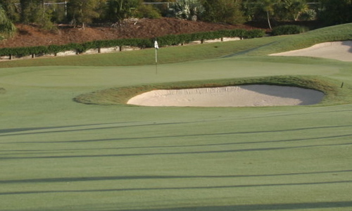 TCGCSA's profile picture. Treasure Coast Golf Course Superintendents Association