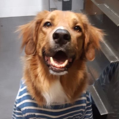 JuanJPinill77's profile picture. 