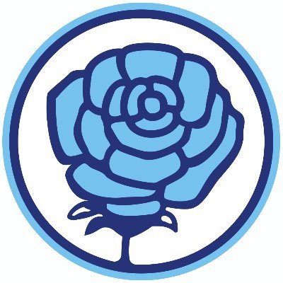 Blue Rose Team - racing with style since 1971

Sponsored by RSH - https://t.co/hgmowWIqmb
Liveris by SRD - SimRacing Designs