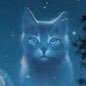 StarClanLovesU's profile picture. guiding your paws, one tweet at a time