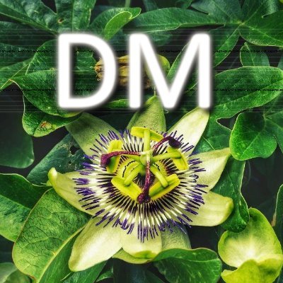 DecentraMedia's profile picture. Aiding artists towards decentralised options. Passionately taking care of promotion without payment.
Brave Verified Creator.