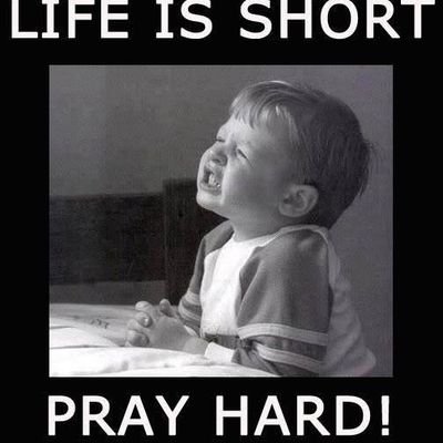 Rshashamura's profile picture. 