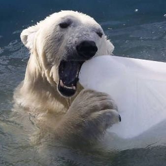 tuligalactico's profile picture. Crudo,emotivo inusual, insostenible y complejo 📹