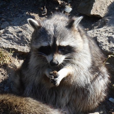 Anthonytosad's profile picture. 