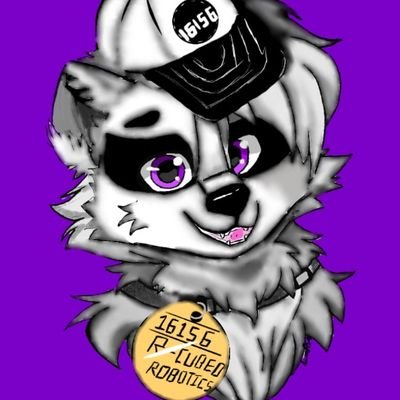 16156Rcubed's profile picture. we are a rcubed robotics team 16156 is are team  number follow us and join the journey of robotics!