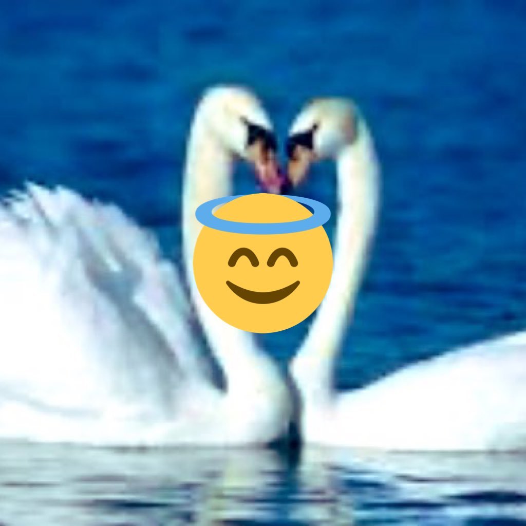 soultalks3's profile picture. أنثى بسيطة بهمة عالية وفكر مستنير أسعى لتطوير نفسي دوما