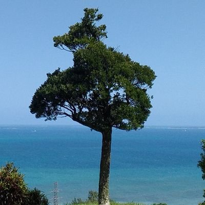 BkIaosCCqfsaIOu's profile picture. やってみた！