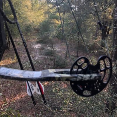 PoliticianUp's profile picture. Just an old bow hunter trying to make it and be happy!