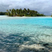 Joshua Trachtenberg (@joshtrachtenbe1) 's Twitter Profile