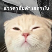 • 𝙠𝙤𝙞𝙞𝙯 • • 𝙠𝙤𝙞𝙞𝙯 • • 𝙠𝙤𝙞𝙞𝙯 • (@koiiz_sokmok69) 's Twitter Profile