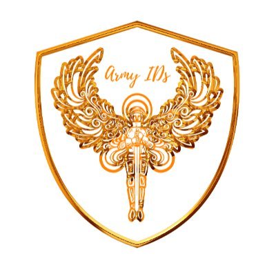 armyids's profile picture. A Professional Validator of Various Blockchain Networks