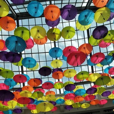 Stef_LB's profile picture.