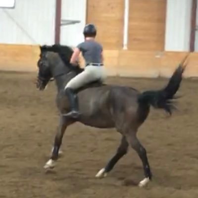 xhalthuh's profile picture. life is full of disappointment, don’t get your hopes up.