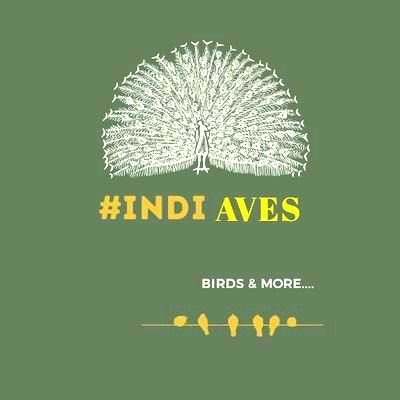 “A group of passionate Bird and Indian wildlife enthusiasts who love Indian Flora and Fauna and wish to express and promote that love.” #IndiAves #IndiWild