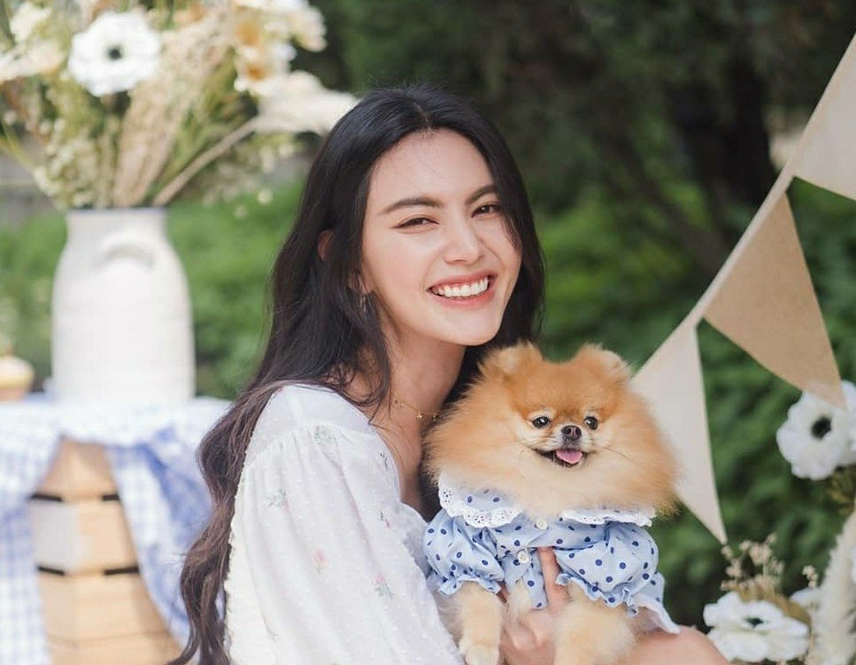 MissAsseylum's profile picture. 𝟐𝟎𝟎𝟒𝟏𝟐 𝟖𝟎𝟓𝟒 ┋ She's a balance of strength and femininity, a blend of silly and serious. 𝐀𝐬𝐬𝐞𝐲𝐥𝐮𝐦 𝐂. 𝐄𝐜𝐡𝐢𝐳𝐞𝐧, operational manager of Dogweed & Deathcap.