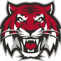 THSTigerBaseball (@42outsths) 's Twitter Profile