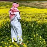 ابوملاذ العياشي (@hbbvabzxhbe2uc6) 's Twitter Profile Photo ابوملاذ العياشي (@hbbvabzxhbe2uc6) 's Twitter Profile Photo