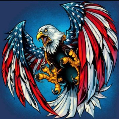 Hvychvy412David's profile picture. Trump Train , love God