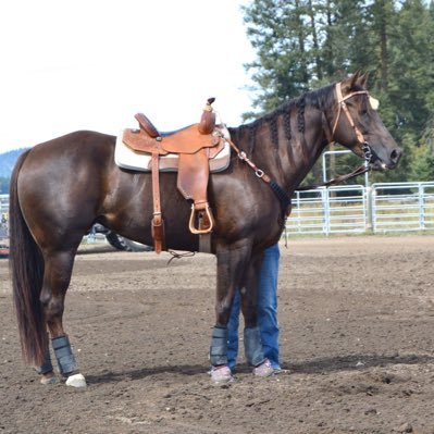 Proud farmer/ranchers daughter carrying on the tradition. Die hard Gonzaga fan. Crazy horse girl and barrel racer. Don’t lie, cheat or steal!