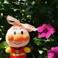 あんぱんこ (@anpanko_55) Twitter profile photo