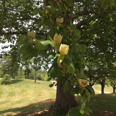 RJG1946's profile picture. 