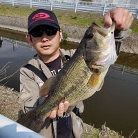 Ken (@k9n2j6) 's Twitter Profile Photo Ken (@k9n2j6) 's Twitter Profile Photo