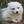 Thefoxdude (@Thefoxdude) profile picture