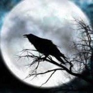 SemperVigilio's profile picture. “The urge to save humanity is almost always a false face for the urge to rule it.” H.L. Mencken
NO DMs please.