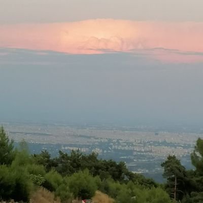 aylinn0102's profile picture. 