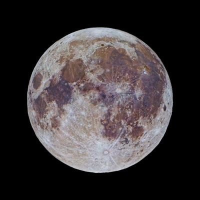 Charanj13444462's profile picture. nothing