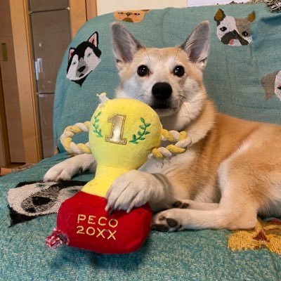 ppp_suzume's profile picture. 前橋→鎌倉 ROVER MINI('96)/Royal Enfield BULLET350('03)/Vespa125 ET3(??)