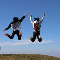 wqq (@wutq) Twitter profile photo